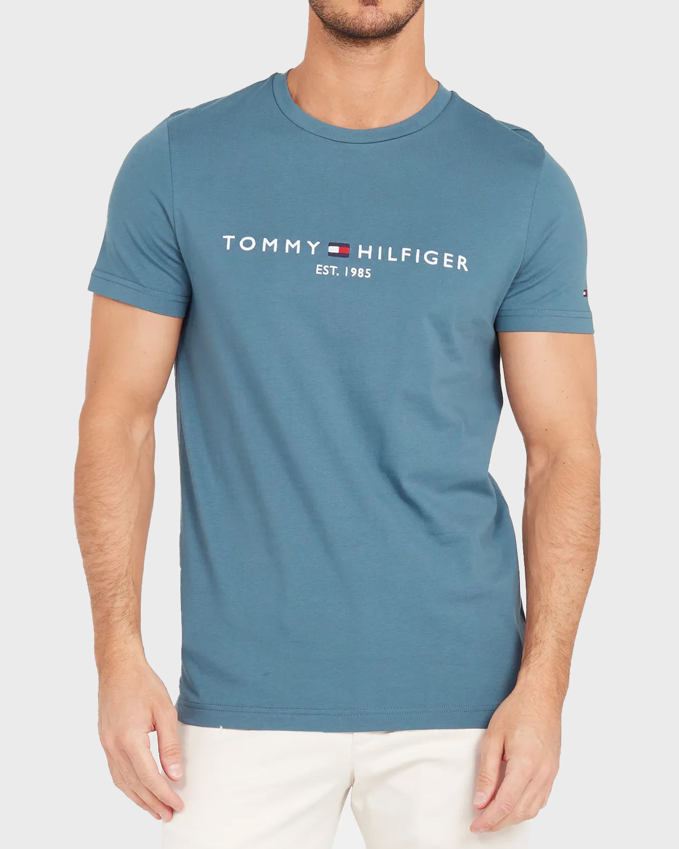 Tommy Hilfiger Men's T-Shirt - MW0MW11797 - sagiakos-stores.gr